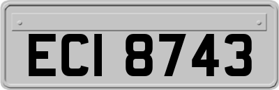 ECI8743