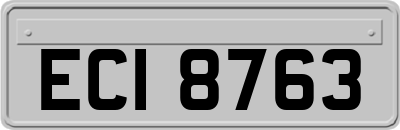 ECI8763
