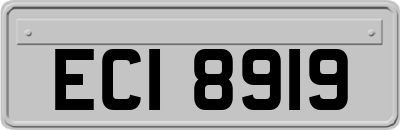 ECI8919