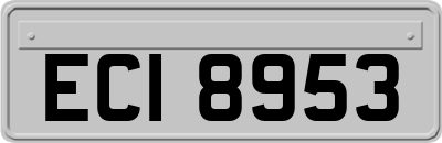 ECI8953