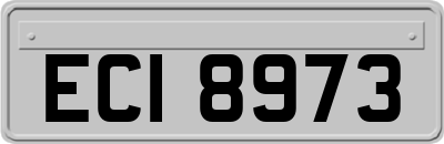 ECI8973