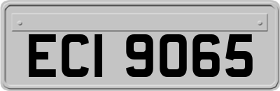 ECI9065