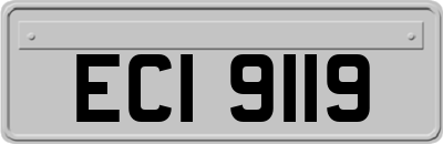 ECI9119