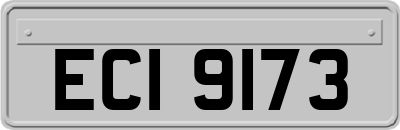 ECI9173