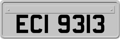 ECI9313