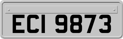 ECI9873