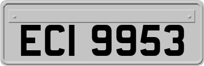 ECI9953