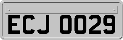 ECJ0029