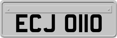 ECJ0110
