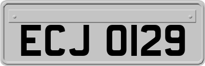 ECJ0129