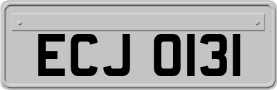 ECJ0131