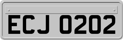 ECJ0202