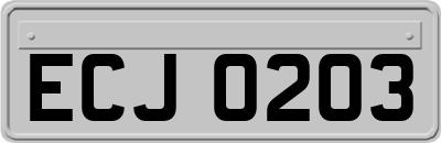 ECJ0203