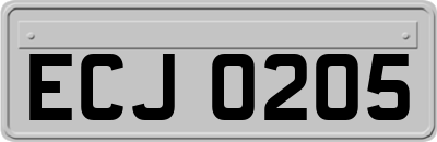 ECJ0205