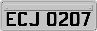 ECJ0207