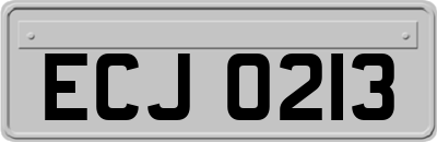 ECJ0213