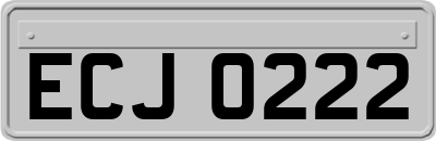 ECJ0222
