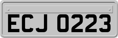 ECJ0223