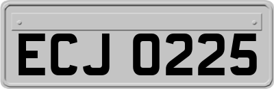 ECJ0225