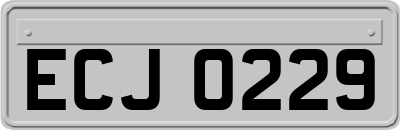 ECJ0229