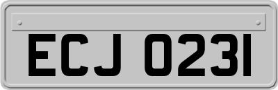 ECJ0231