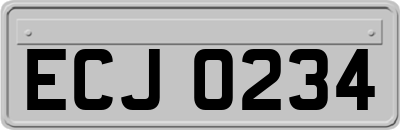 ECJ0234