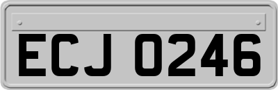 ECJ0246
