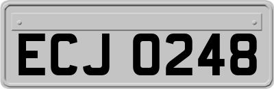 ECJ0248