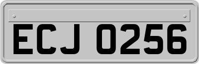 ECJ0256