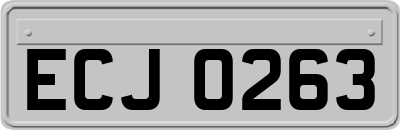 ECJ0263
