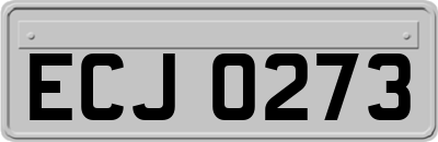 ECJ0273