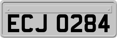 ECJ0284