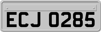 ECJ0285