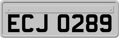 ECJ0289