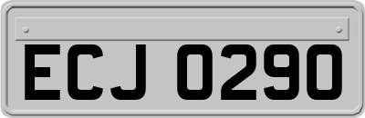 ECJ0290