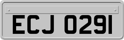 ECJ0291