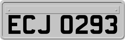 ECJ0293