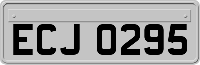 ECJ0295