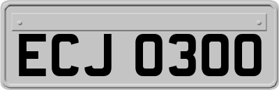 ECJ0300