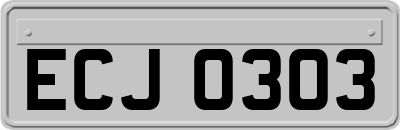ECJ0303