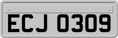 ECJ0309