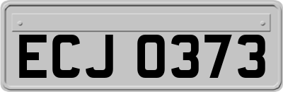 ECJ0373