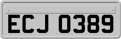 ECJ0389