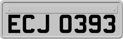 ECJ0393