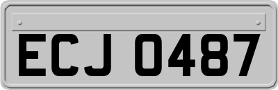 ECJ0487