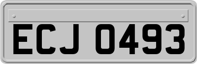 ECJ0493