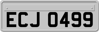 ECJ0499