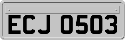 ECJ0503