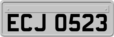 ECJ0523