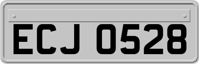 ECJ0528